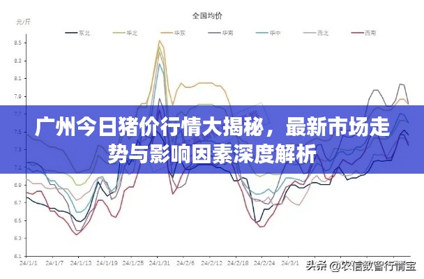 梨花带雨 第2页