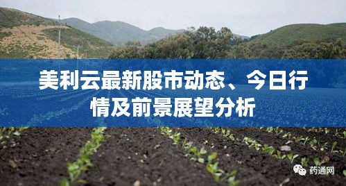 美利云最新股市动态、今日行情及前景展望分析