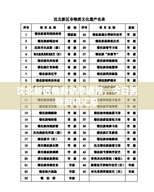 沈北新区最新动态通报，今日更新资讯汇总