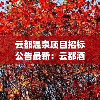 云都温泉项目招标公告最新：云都酒店电话号码是多少 