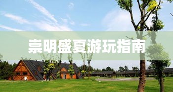 矫枉过正 第3页