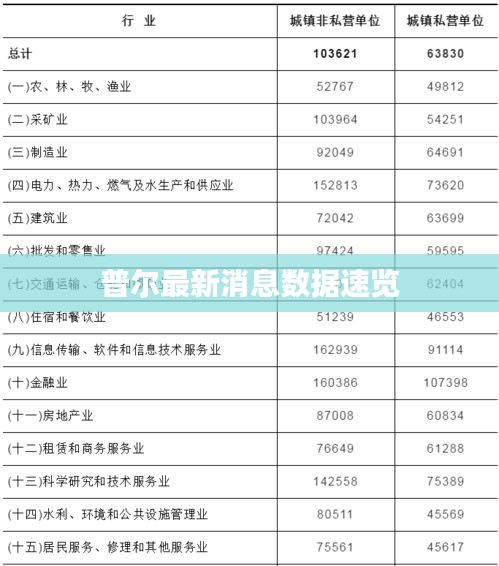 普尔最新消息数据速览