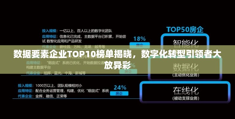 数据要素企业TOP10榜单揭晓，数字化转型引领者大放异彩