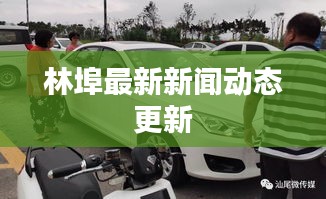 林埠最新新闻动态更新