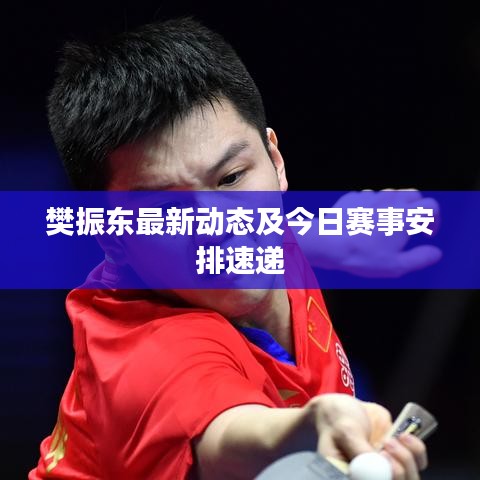 樊振东最新动态及今日赛事安排速递