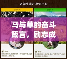 马与草的奋斗箴言，励志成长的力量