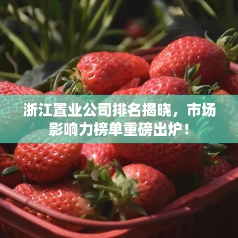 浙江置业公司排名揭晓，市场影响力榜单重磅出炉！