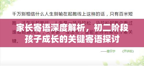 家长寄语深度解析，初二阶段孩子成长的关键寄语探讨