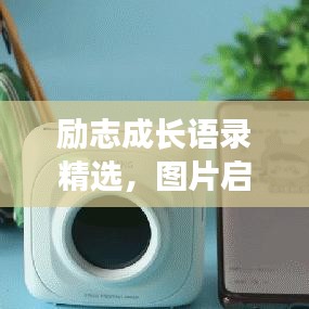 国色天香 第2页