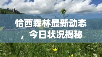 恰西森林最新动态，今日状况揭秘