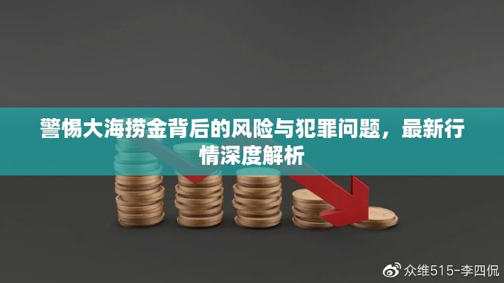 警惕大海捞金背后的风险与犯罪问题，最新行情深度解析