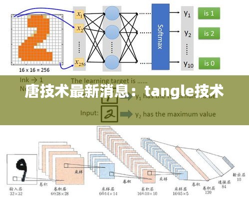 唐技术最新消息：tangle技术 