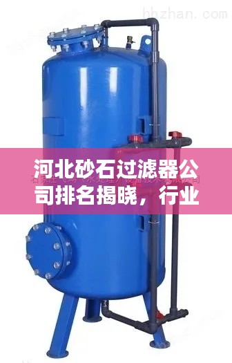 河北砂石过滤器公司排名揭晓，行业权威榜单出炉！