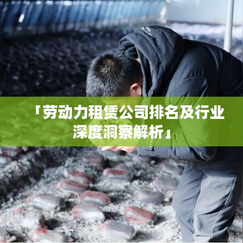 「劳动力租赁公司排名及行业深度洞察解析」