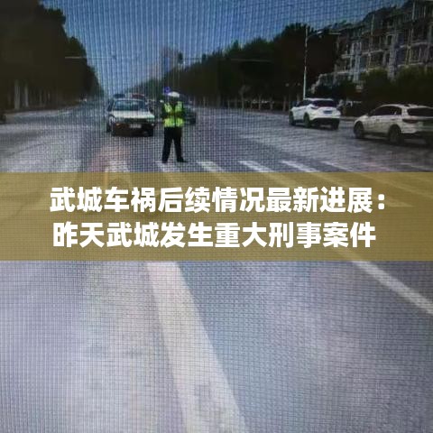 武城车祸后续情况最新进展：昨天武城发生重大刑事案件 