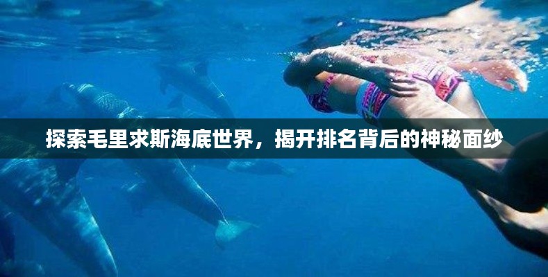 探索毛里求斯海底世界，揭开排名背后的神秘面纱