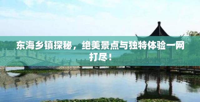 东海乡镇探秘，绝美景点与独特体验一网打尽！