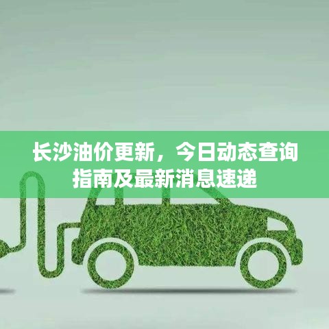 长沙油价更新，今日动态查询指南及最新消息速递