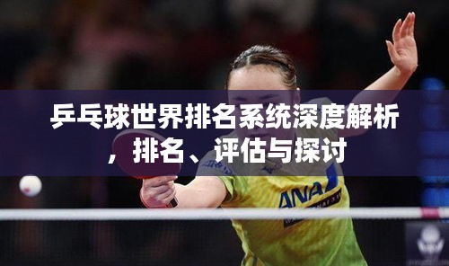 乒乓球世界排名系统深度解析，排名、评估与探讨