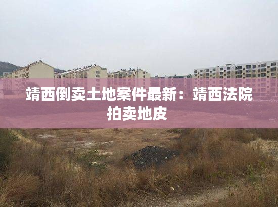 靖西倒卖土地案件最新：靖西法院拍卖地皮 