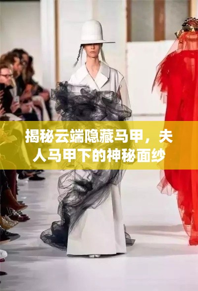 揭秘云端隐藏马甲，夫人马甲下的神秘面纱