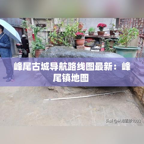 峰尾古城导航路线图最新：峰尾镇地图 