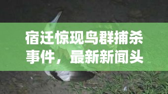 蚁出蚋飞 第2页