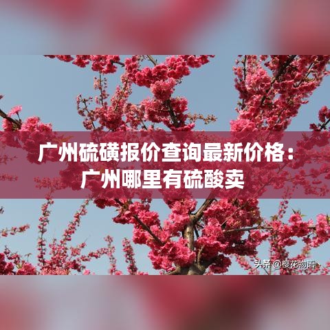 广州硫磺报价查询最新价格：广州哪里有硫酸卖 
