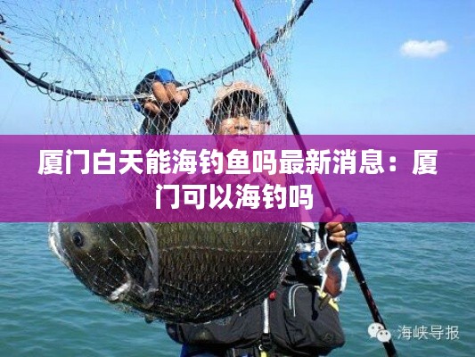 厦门白天能海钓鱼吗最新消息：厦门可以海钓吗 