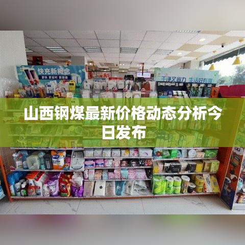 山西钢煤最新价格动态分析今日发布