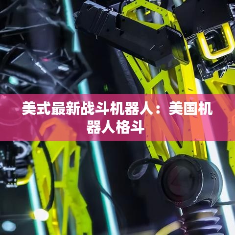 美式最新战斗机器人：美国机器人格斗 