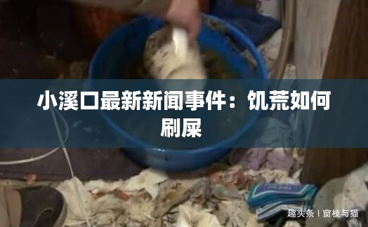 小溪口最新新闻事件：饥荒如何刷屎 