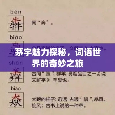 毛手毛脚 第2页