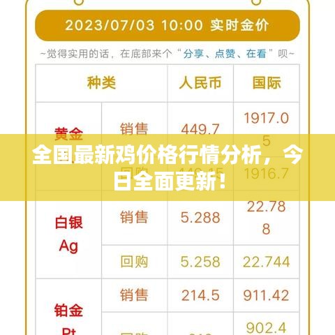全国最新鸡价格行情分析，今日全面更新！
