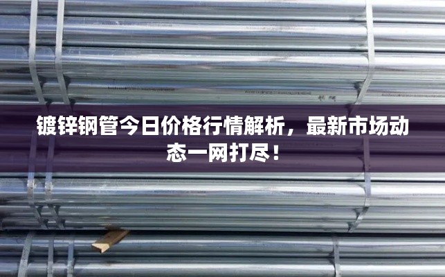 镀锌钢管今日价格行情解析，最新市场动态一网打尽！