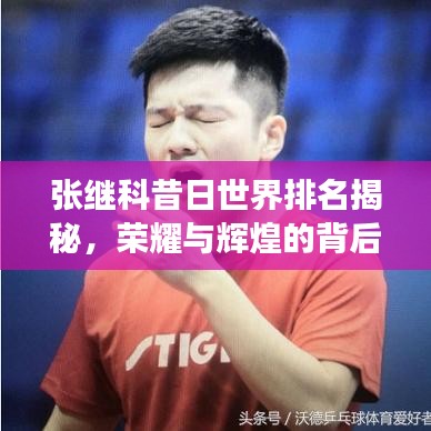 熊经鸟伸 第2页