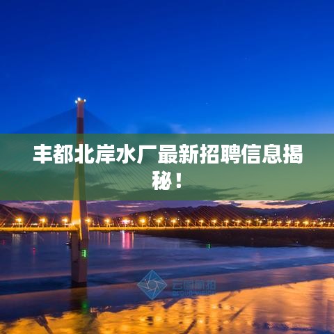 丰都北岸水厂最新招聘信息揭秘！