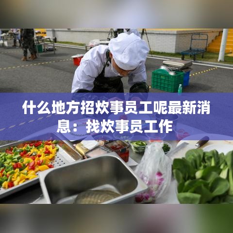 什么地方招炊事员工呢最新消息：找炊事员工作 