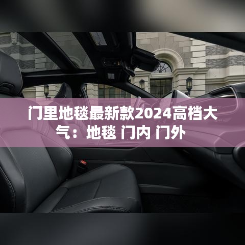 门里地毯最新款2024高档大气：地毯 门内 门外 