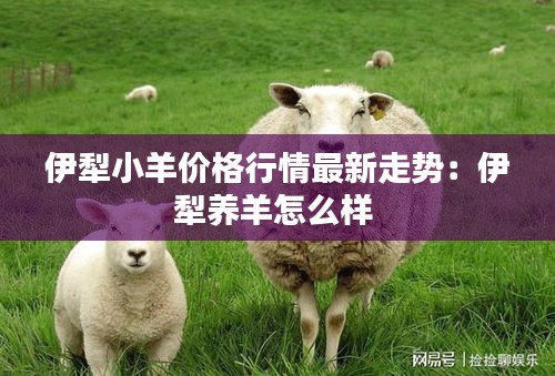 伊犁小羊价格行情最新走势：伊犁养羊怎么样 