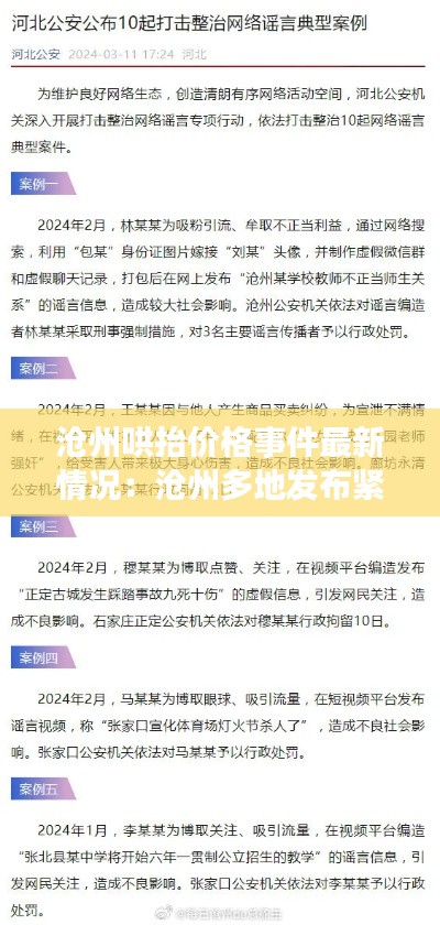 沧州哄抬价格事件最新情况：沧州多地发布紧急通告 
