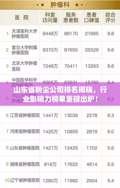 山东省粉尘公司排名揭晓，行业影响力榜单重磅出炉！