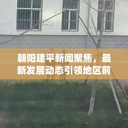 朝阳建平新闻聚焦，最新发展动态引领地区前行