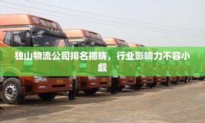 独山物流公司排名揭晓，行业影响力不容小觑
