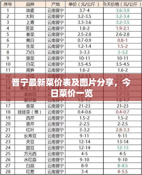 晋宁最新菜价表及图片分享，今日菜价一览