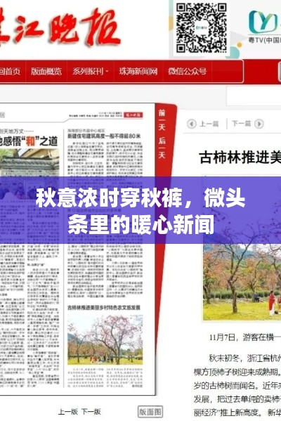 秋意浓时穿秋裤，微头条里的暖心新闻