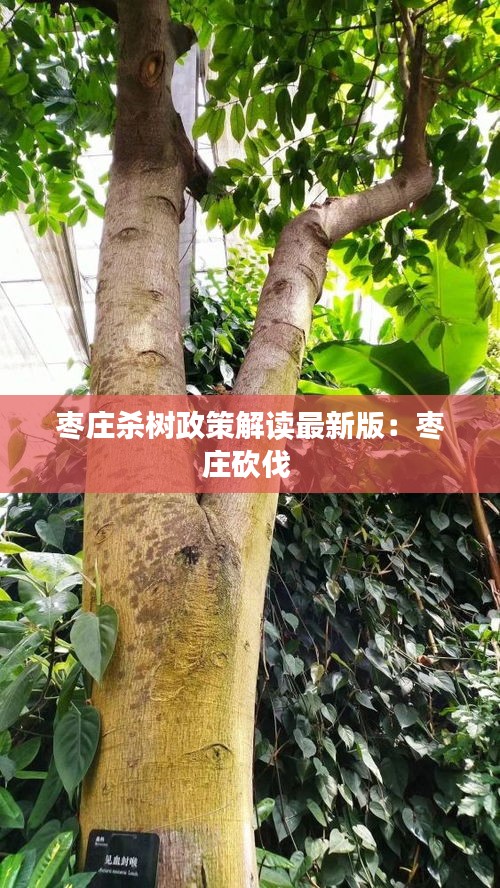 长命富贵 第2页