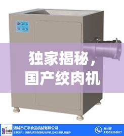 独家揭秘，国产绞肉机行业巨头排名及影响力评估