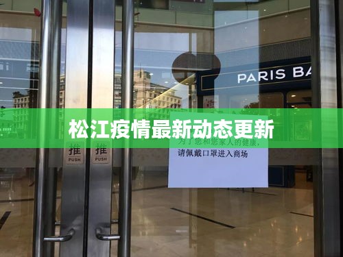松江疫情最新动态更新