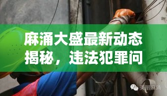 麻涌大盛最新动态揭秘，违法犯罪问题成焦点